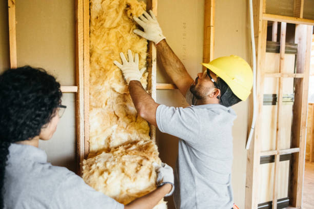 Best Basement Insulation  in Murphysboro, IL